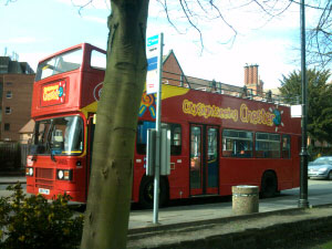 City Sightseeing Tour Bus Page One